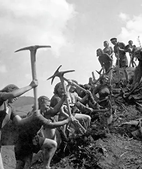 Abused: Volunteers