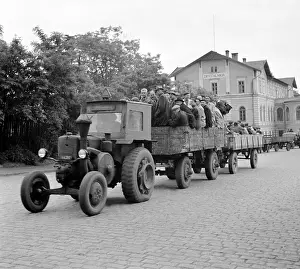 Zatec: Volunteers work on various agricultural projects