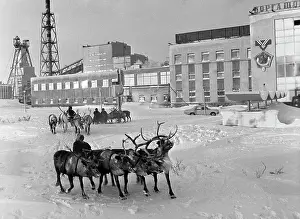 Gubsky: Mine Vorgashorskaya, 1982
