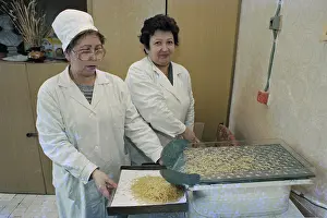 Rogozin: Voronezh Macaroni Factory JSC