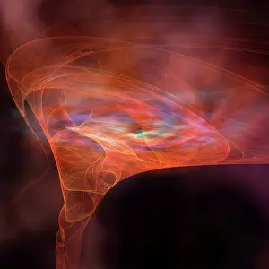 Twisted: The vortex field of a black hole