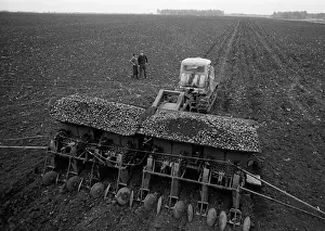 Potatoes: Vpered farm in Chelyabinsk region