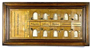 Anthropologist: Vucetich's Dactilonomo, Fingerprint Classification Method