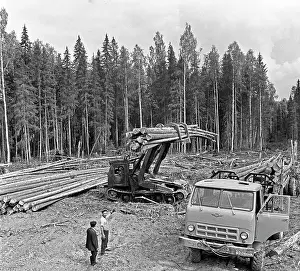 Logging: Vukhtymsk Lumber Yard