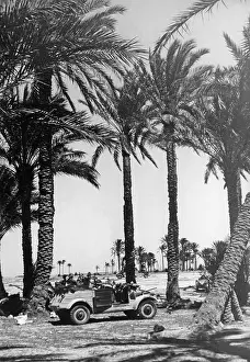Benghazi: VW Kuebelwagen, 1942