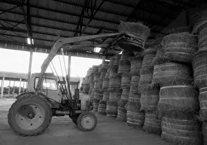Stacks: Vysokoye Flax Processing Plant