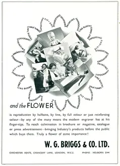 Rents: W. G. Briggs & Co. Ltd Advertisement