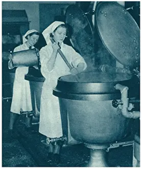 W.a.a.f: W.A.A.F. Cooks