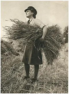 W.a.a.f: W.A.A.F. Harvest Time