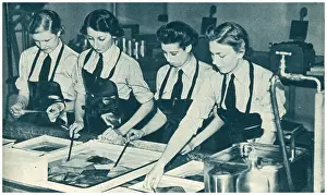 W.a.a.f: W.A.A.F. Lab Workers