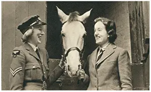 Recreations: W.A.A.F. Ladies With A Horse