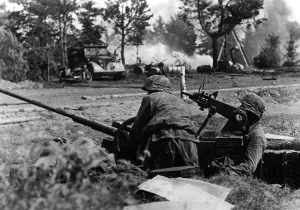 Waldai: Waffen-SS in action at the front, 1942