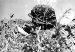 Writes: Waffen-SS in action at the front, 1942