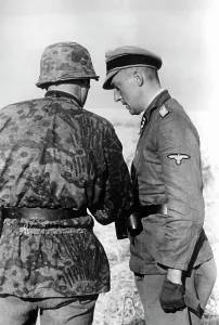 Waffen: Waffen-SS - Eastern Front, 1941