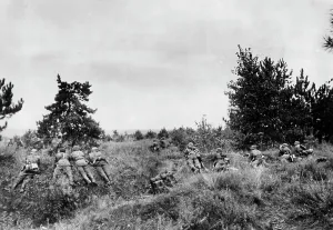 Neumann: Waffen-SS - Eastern Front, 1941