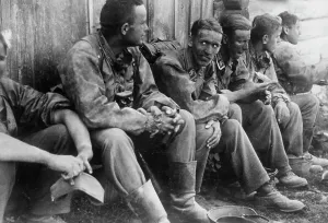 Polluted: Waffen-SS - Eastern Front, 1941