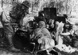 Wiegand: Waffen-SS infantry gun - Eastern Front, 1941