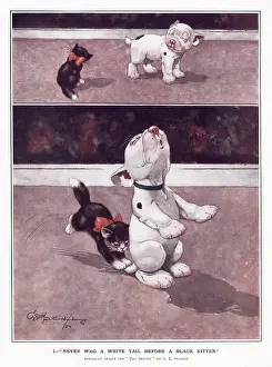 Superstitions: Never wag a white tail by George Ernest Studdy