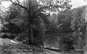 Waggoners: Waggeners Wells, Middle Lake