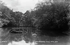 Waggoners: Waggeners Wells, Upper Lake