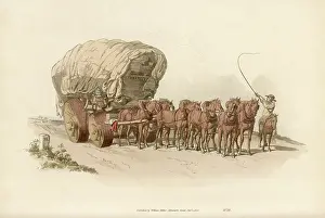 Waggoners