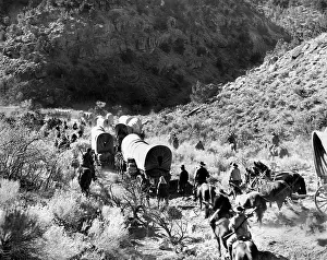 Brigham: wagon train - covered wagons - Brigham Young