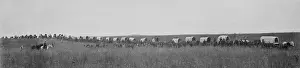 Commodities: A wagon train hauls 1, 100 bushels of wheat