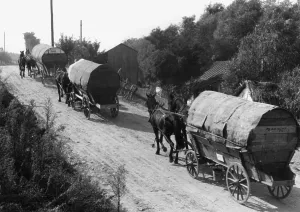 Nationals: Wagon trek of ethnic Germans from Bessarabia, 1940