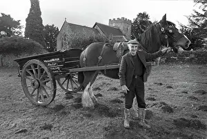 Wagoner, Shropshire - 2