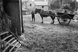 Wagoner, Shropshire - 3