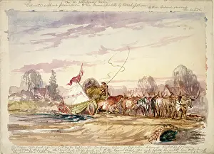 Potchefstroom: Wagons of the South African Gold Fields