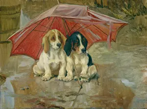 Sheltering: Wait till the Clouds roll by – Two Dogs