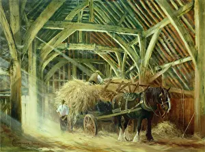Rafters: Waiting in the Barn. Shire Horse