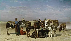 Haas: Waiting for the Catch ' donkeys on beach