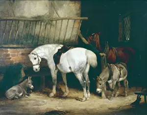 Shayer: Waiting for Master – horses in a stable