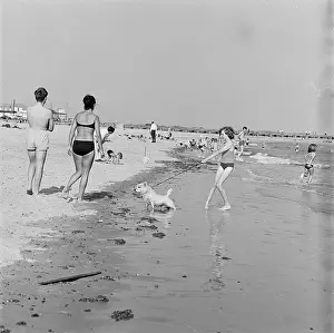 Walberswick: Walberswick Beach, Suffolk