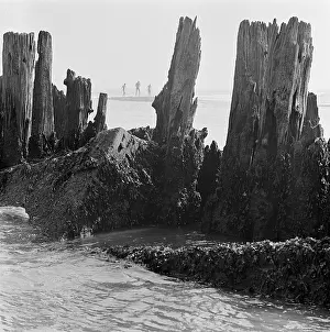 Walberswick: Walberswick Beach, Suffolk