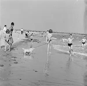 Walberswick: Walberswick Beach, Suffolk