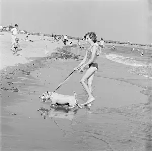 Walberswick: Walberswick Beach, Suffolk