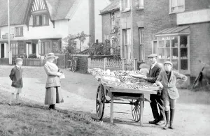 Greengrocer: Walberswick, Fruit and Veg Stall 1919