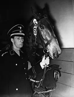 Waldemar Fegelein