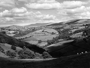 Carmarthenshire: WALES/CARMARTHENSHIRE