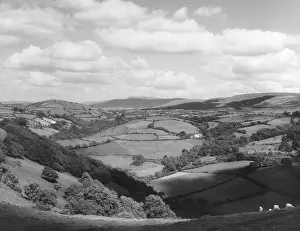 Carmarthenshire: WALES/CARMARTHENSHIRE