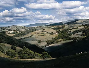 Carmarthenshire: WALES/CARMARTHENSHIRE