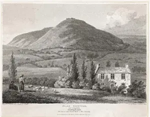 Denbighshire: WALES/PLAS NEWYDD/1813
