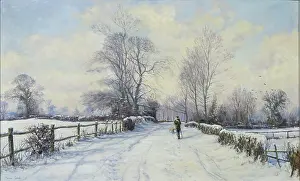 Mervyn: A Walk in the Fresh Snow