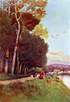Parco: A walk along the river in the Cascine, toward San Miniato