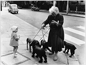 Tangled: WALKING DOGS/1958