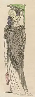 Reticule: Walking Dress 1805