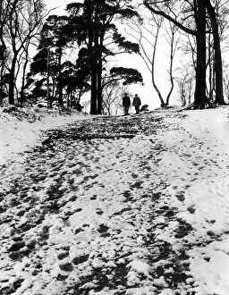 Alderley: WALKING IN THE SNOW